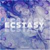 Download track Ecstasy (Radio Edit)