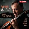 Download track Cello Concerto In A Minor, Op. 40: I. Allegro Moderato