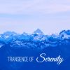 Download track Transience Of Serenity