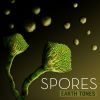 Download track Sporophyte Club