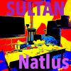 Download track Natlus 10