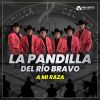 Download track Como Te Llamas Paloma