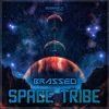 Download track Space Tribe (Original Mix)