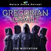 Download track Night Rain With Gregorian Chants For Deep Sleep 528Hz (Loopable)