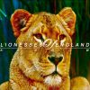 Download track Lionesses Of England