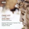 Download track Via Crucis, S. 53- VII. Jesus Fällt Zum Zweiten Mal