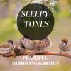 Download track Peaceful Birdsong Garden, Pt. 20