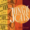 Download track Taxi Driver