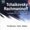 Download track Piano Trio In A Minor, Op. 50, TH 117- IIj. Var. 9