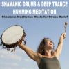 Download track Real Shaman Healing Rhythm