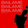 Download track Bailame (Extended Mix)