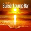 Download track Summer Vibration - Buddha Lounge Del Mar Edit