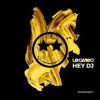 Download track Hey DJ (Radio Edit)