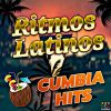 Download track Las Cumbres De Maltrata