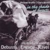 Download track Ravel: Tzigane: Rapsodie De Concert For Violin And Lutheal (Original Version)