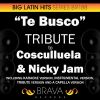 Download track Te Busco (In The Style Of Cosculluela & Nicky Jam) [Karaoke Version]