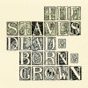 Download track Dead & Born & Grown