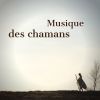 Download track Musique De Guérison