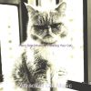 Download track Funky Ambiance For Kittens