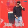 Download track Teri Meri'