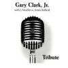 Download track Tribute To Albert Collins