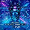 Download track Coordinated High (Radio Edit)