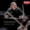Download track Symphony No. 35 In D Major, K. 385 'Haffner': IV. Presto (Live)