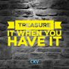 Download track Treasure It When You Have It (Instrumental)