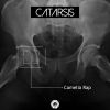 Download track Catarsis