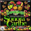 Download track Caribemix Ranchero: Voy A Conquistarte / Necesito De Tí / Ella / Mándale Una Carta A Tu Marido