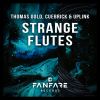 Download track Strange Flutes (Extended Mix)