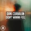 Download track Didn't Wanna Feel (Extended Mix)