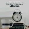 Download track Rooster Morning Alarm