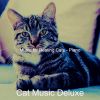 Download track Hypnotic Cute Cats