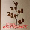 Download track WILD FLOWER