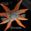 Download track BAAL (Original Mix)