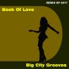 Download track Book Of Love 2017 (Danyella Radio Vocal Edit)