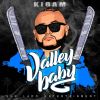 Download track Valley Baby (Intro)