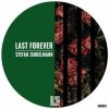 Download track Last Forever (Original Mix)