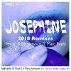 Download track Josephine (Terrence Parker Deep Detroit Heart Dub)