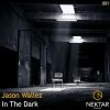 Download track In The Dark (Extended Mix)