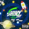 Download track Shiny Trip