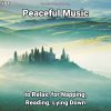 Download track Peaceful Music, Pt. 77