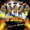 Download track Sin Querer El Amor