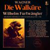 Download track Nicht Sehre Dich Sorge Um Mich - Act 3, Scene 1 - Die Walküre (Der Ring Des Nibelungen) (Remastered 2022,