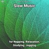 Download track Slow Music, Pt. 35