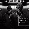 Download track Concrete Jungle