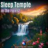 Download track Sleep Temple In The Forest