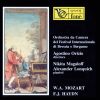 Download track Haydn: Concerto In Re Maggiore Per Pianoforte Orchestra Hob. XVIII N. 11: Rondò All'ungherese Allegro Assai'