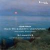 Download track Violin Sonata In A Major, FWV 8: I. Allegretto Ben Moderato